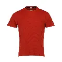 Polera Simos Terracota Hombre .webp